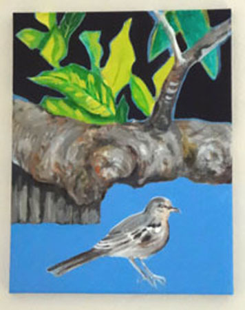 bigger image size bird