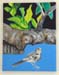 bigger image size bird